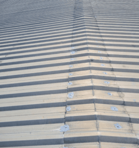 WhatsApp Image 2024-08-30 at 11.10.09